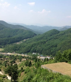 팔당납골묘 by 다원퓨너럴