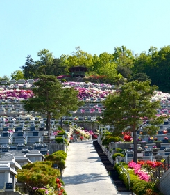 강화납골묘 by 다원퓨너럴