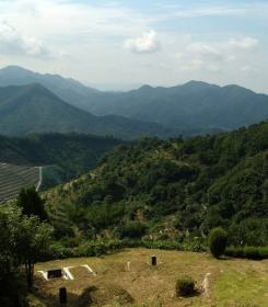 양평납골묘 by 다원퓨너럴