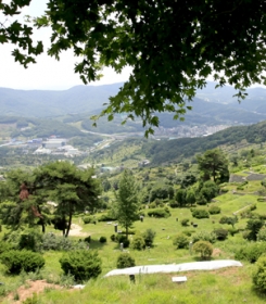 분당납골묘 by 다원퓨너럴